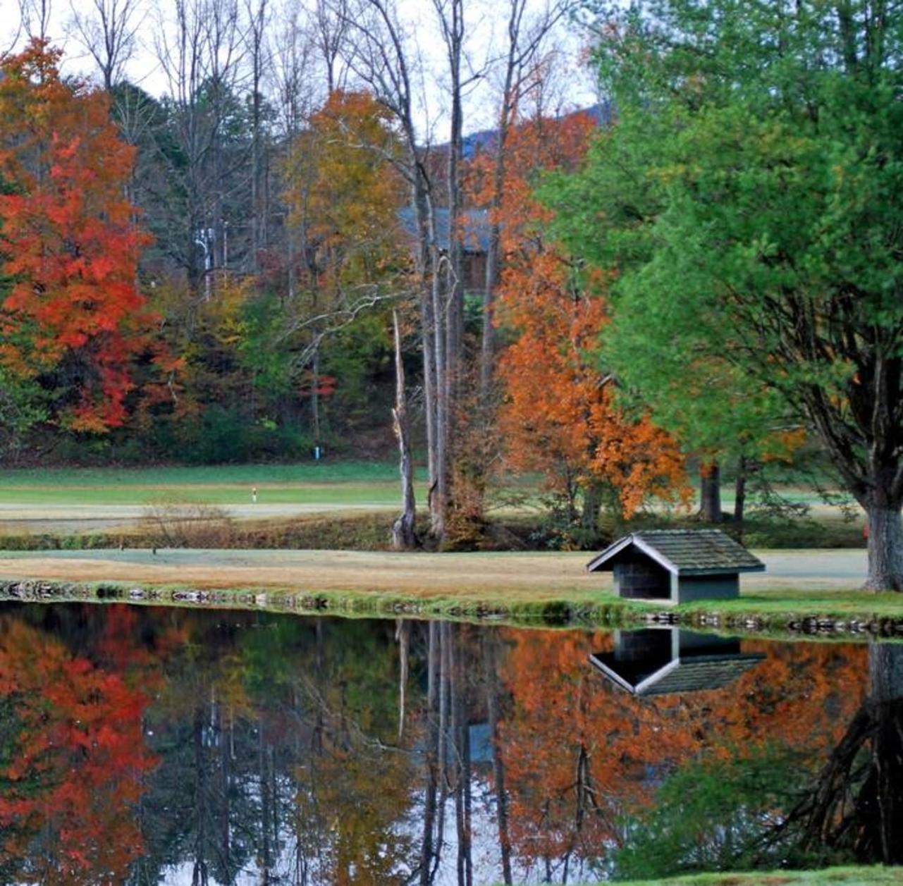Romantic, Honeymoon Cabin In The Smokies! 개틀린버그 외부 사진