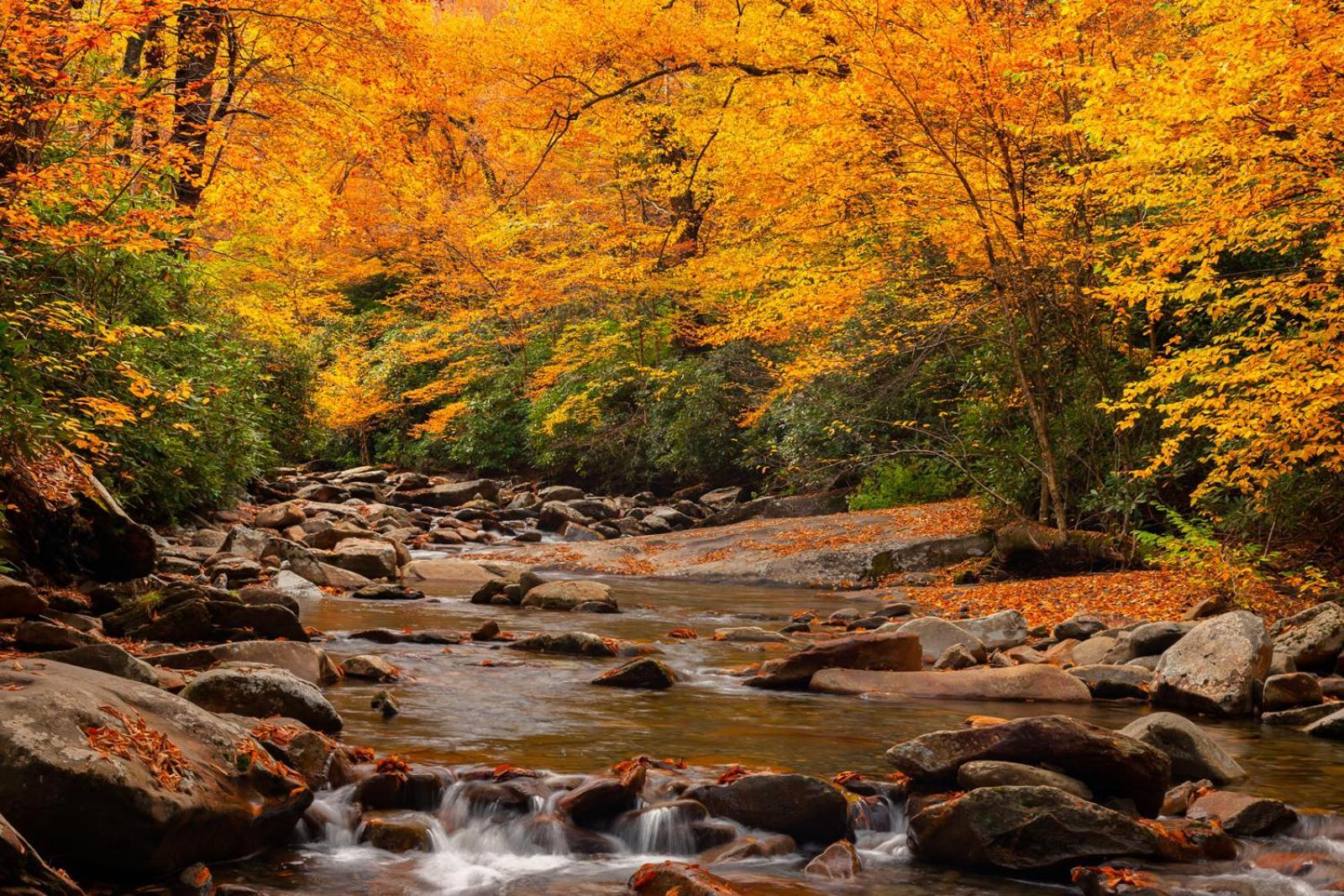 Romantic, Honeymoon Cabin In The Smokies! 개틀린버그 외부 사진